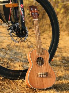 A ukulele and bicycle placed together on the grass.